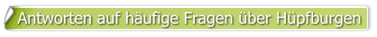 Antworten auf häufige Fragen über Hüpfburgen